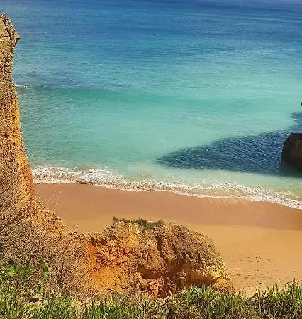 Paradise