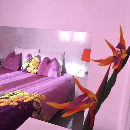 Paradise Apartamento *